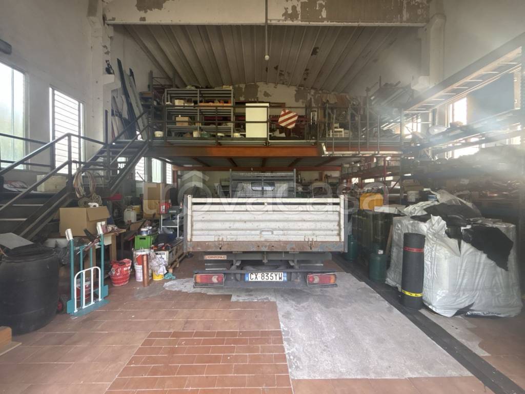 immagine annuncio 5 di 15