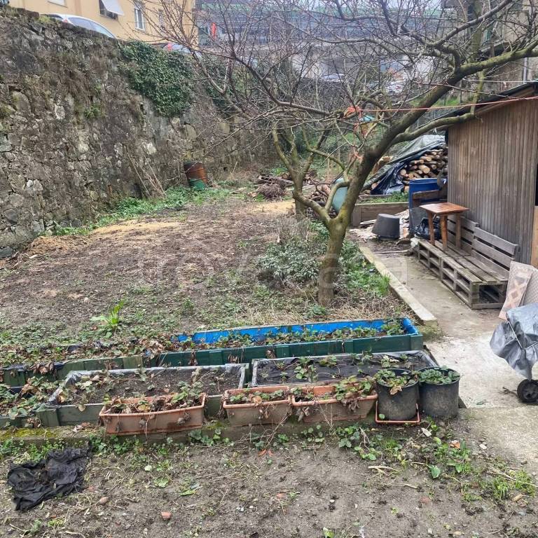 immagine annuncio 8 di 12