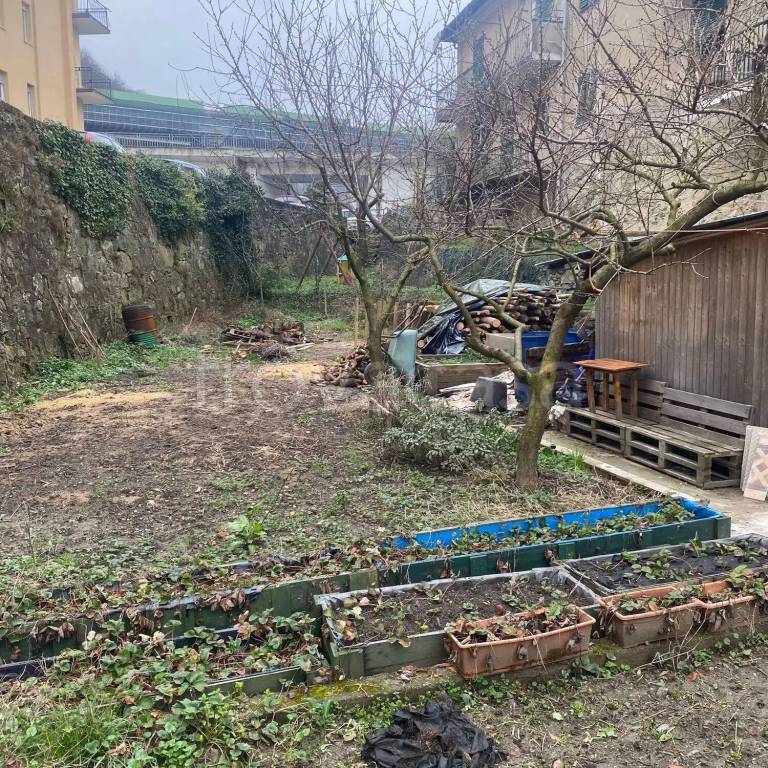 immagine annuncio 9 di 12
