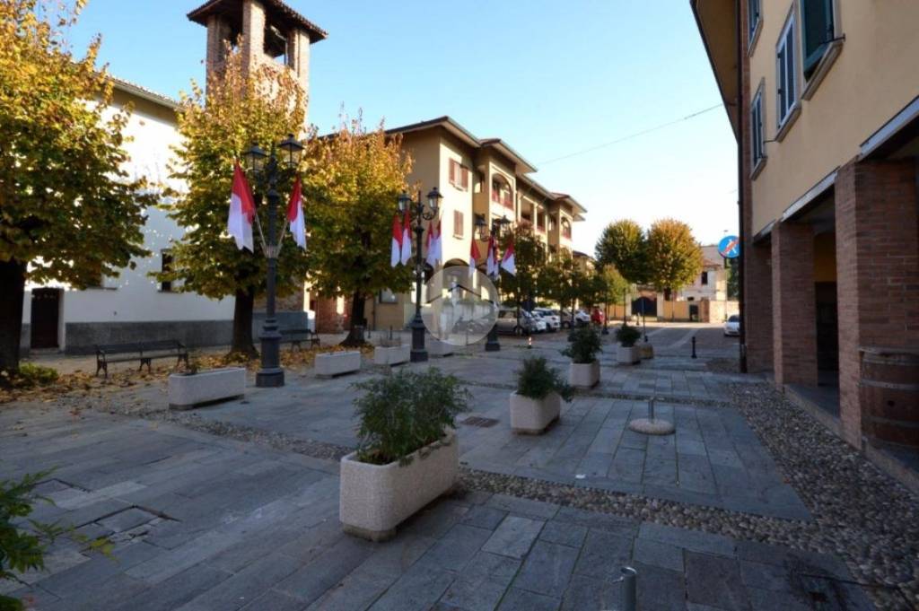 immagine annuncio 11 di 13