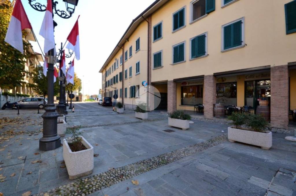 immagine annuncio 12 di 13