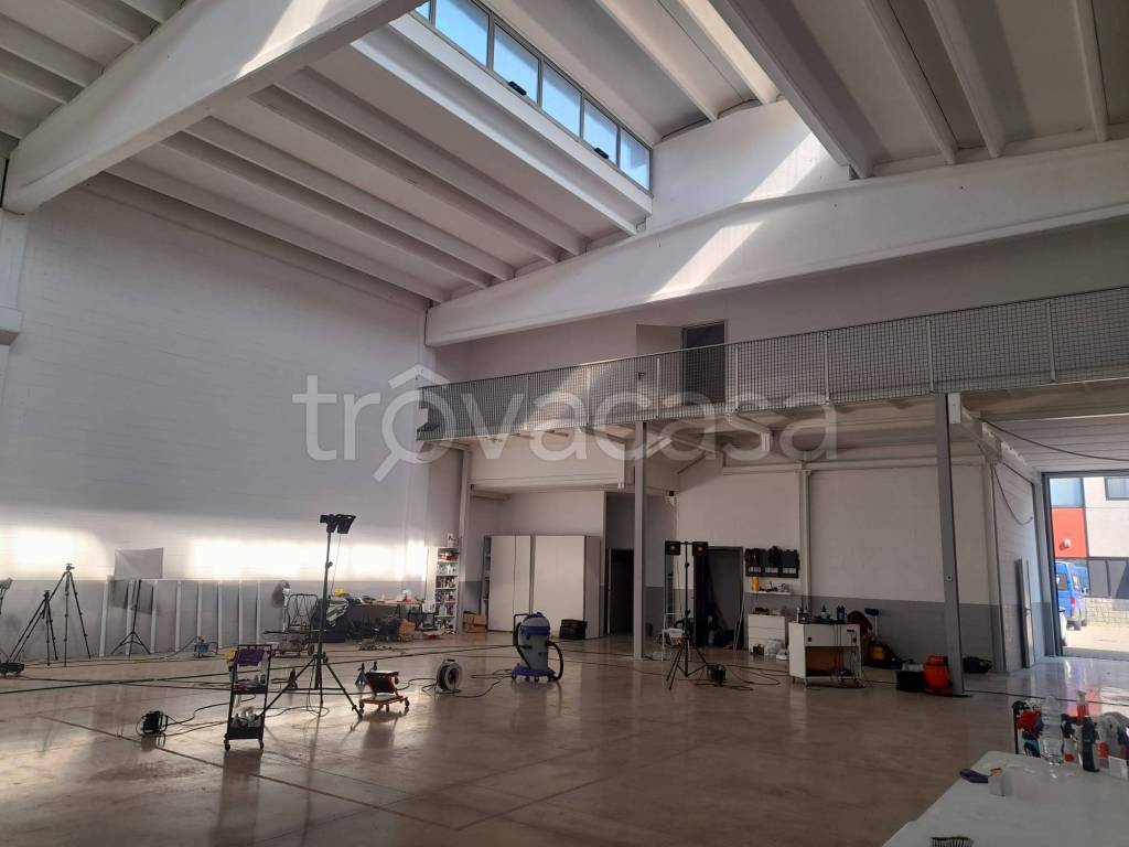 immagine annuncio 6 di 15