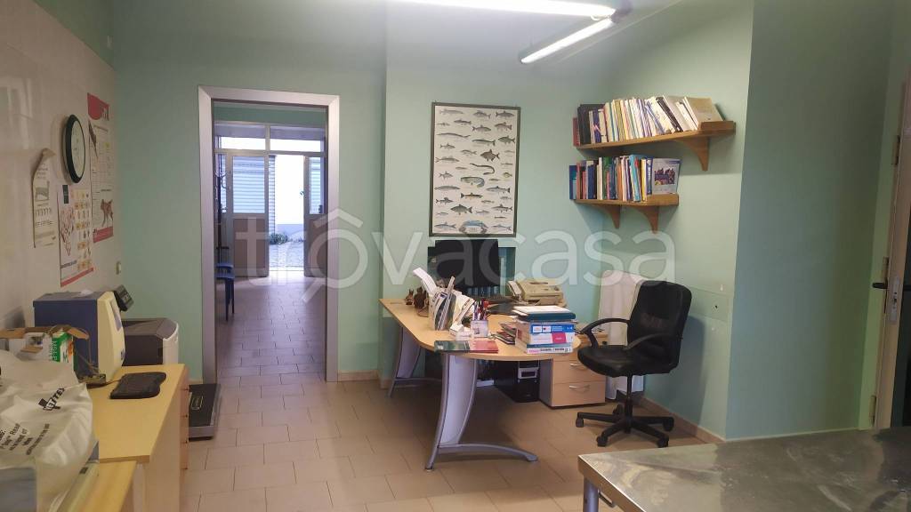 immagine annuncio 2 di 12