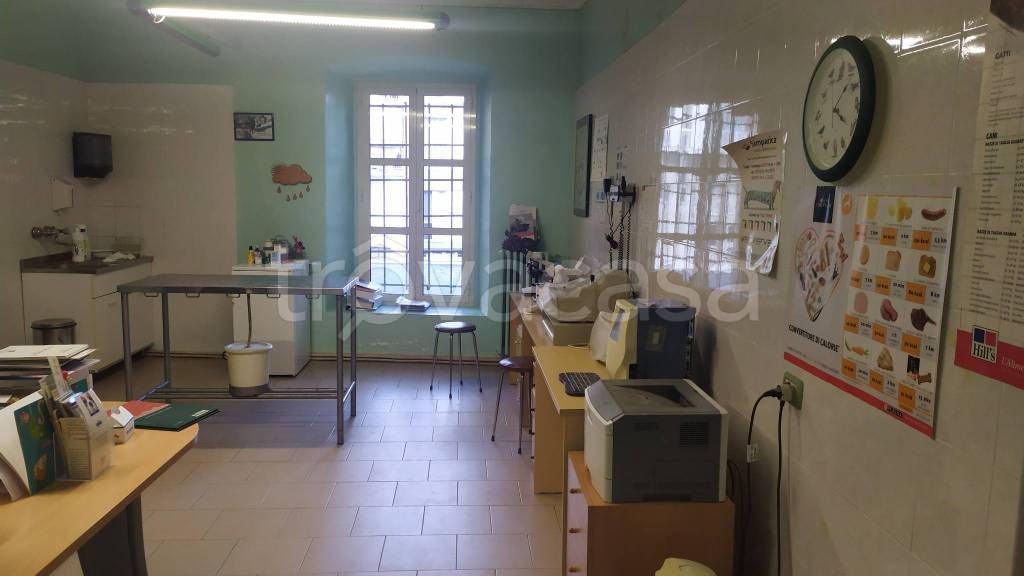 immagine annuncio 3 di 12
