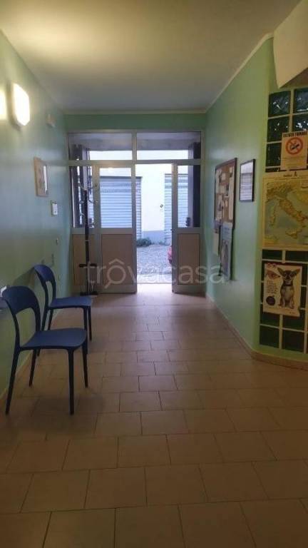 immagine annuncio 10 di 12