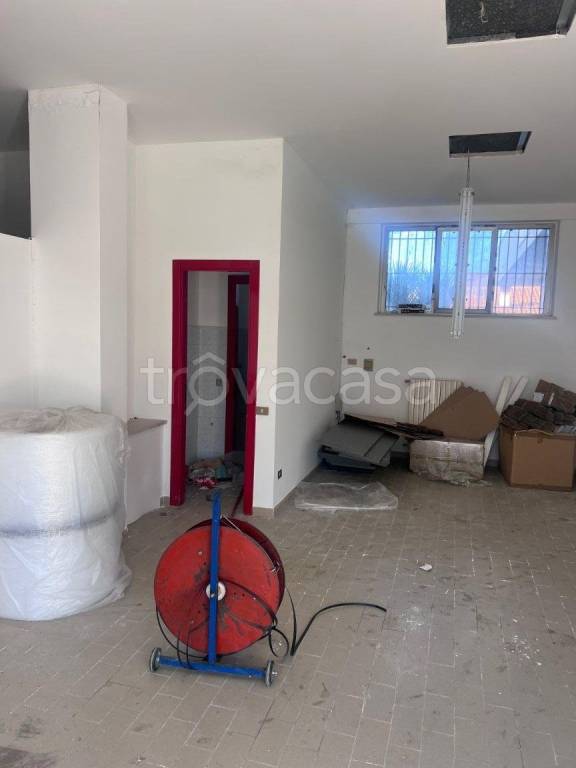 immagine annuncio 5 di 14