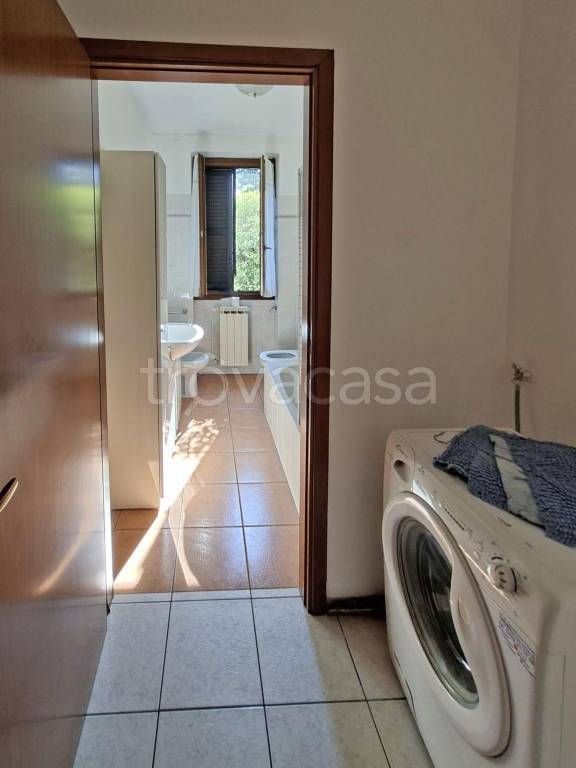 immagine annuncio 5 di 8
