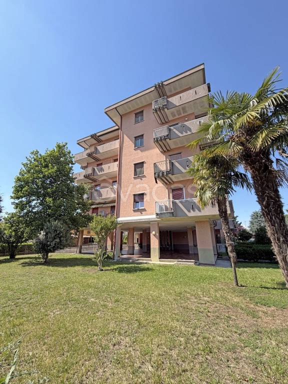 immagine annuncio 6 di 15