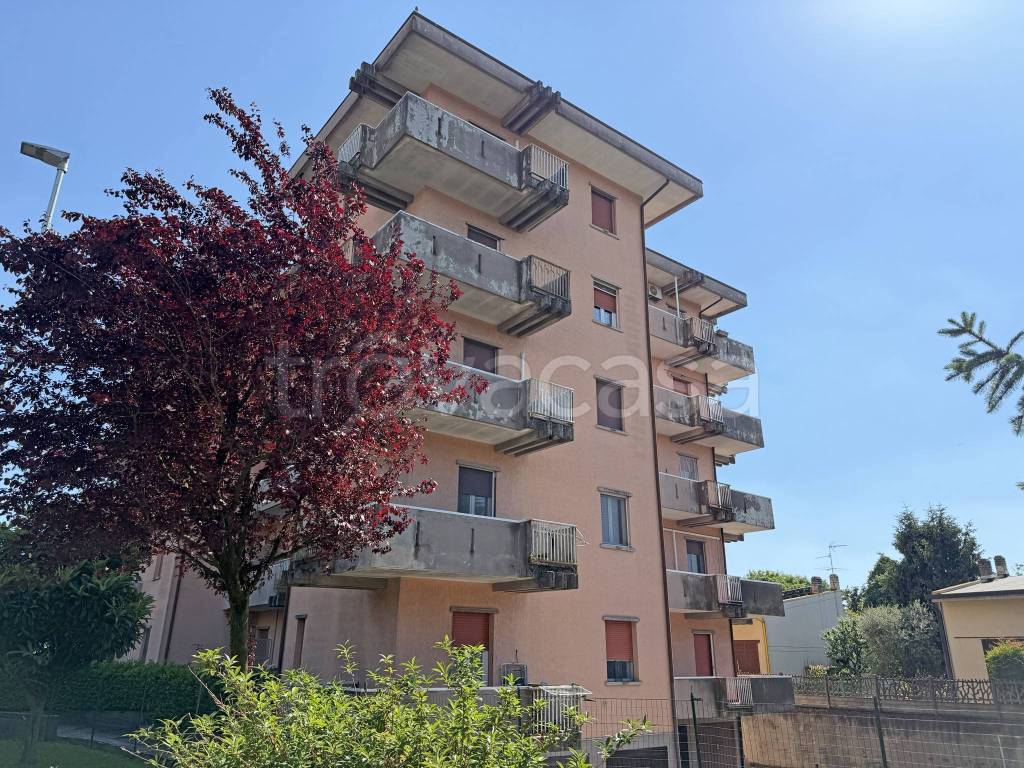immagine annuncio 7 di 15