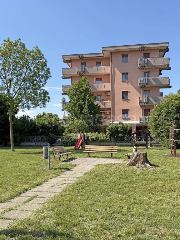 immagine annuncio 11 di 15