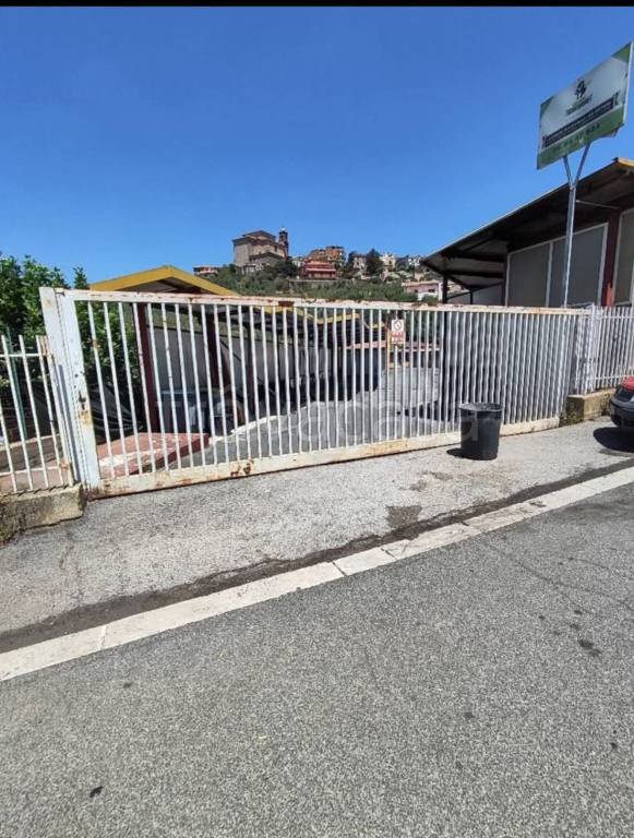 immagine annuncio 2 di 4