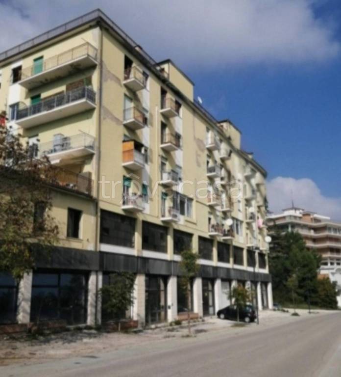 immagine annuncio 6 di 11