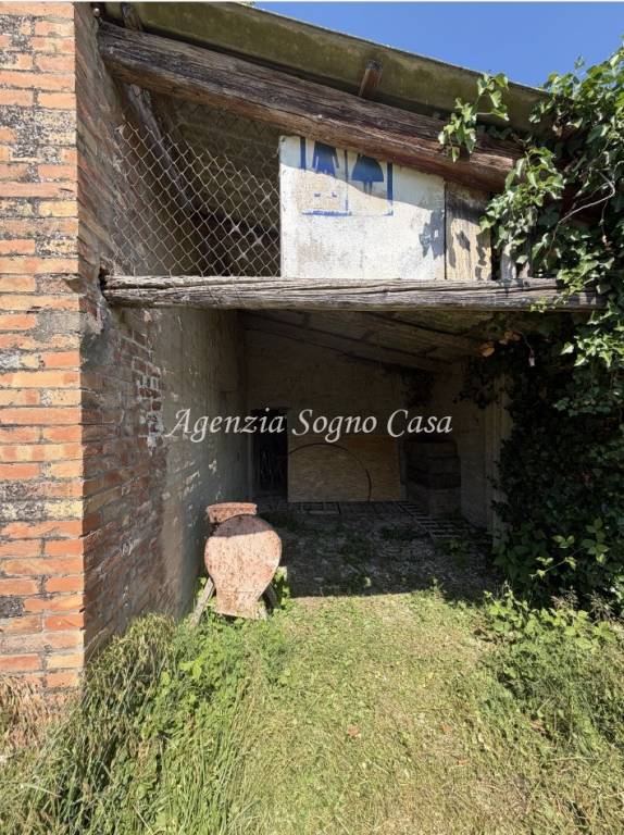 immagine annuncio 10 di 11