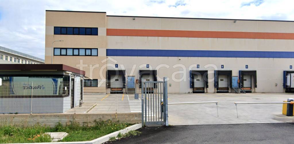 immagine annuncio 2 di 11