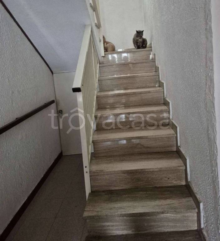 immagine annuncio 9 di 14