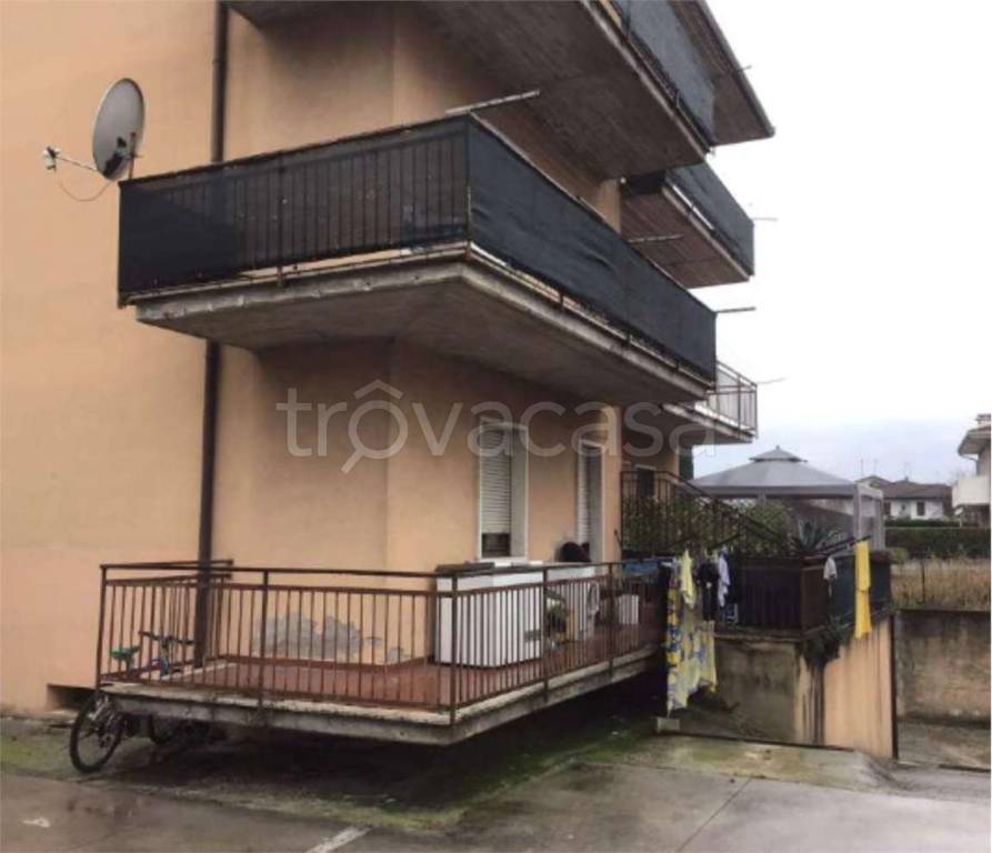 immagine annuncio 3 di 12