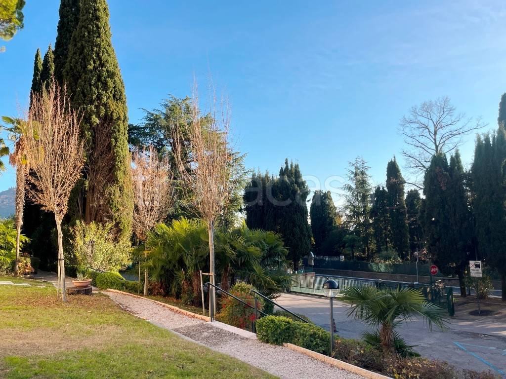 immagine annuncio 3 di 14