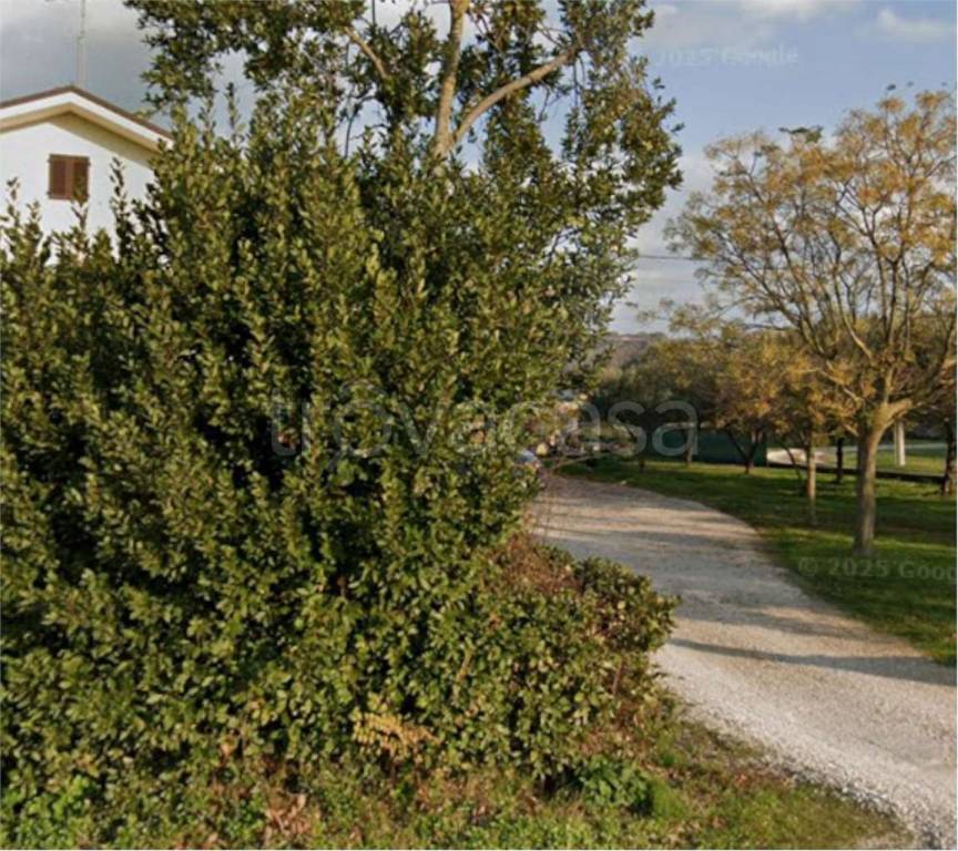 immagine annuncio 5 di 11
