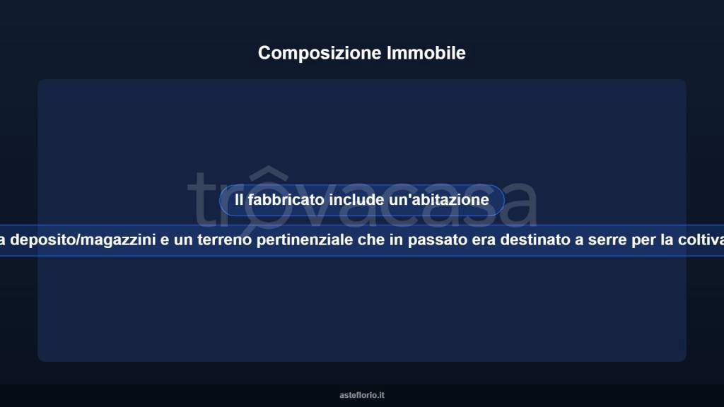 immagine annuncio 5 di 13