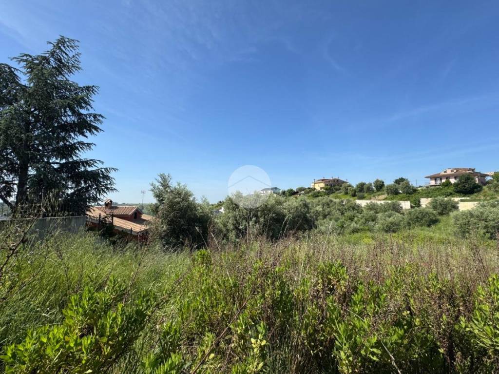immagine annuncio 5 di 11