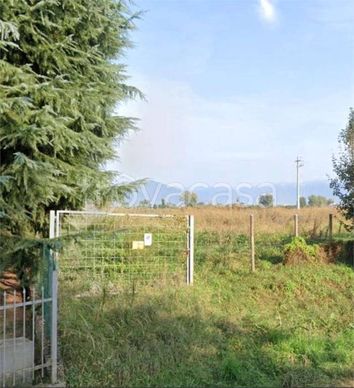 immagine annuncio 5 di 13