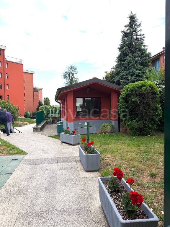 immagine annuncio 3 di 15