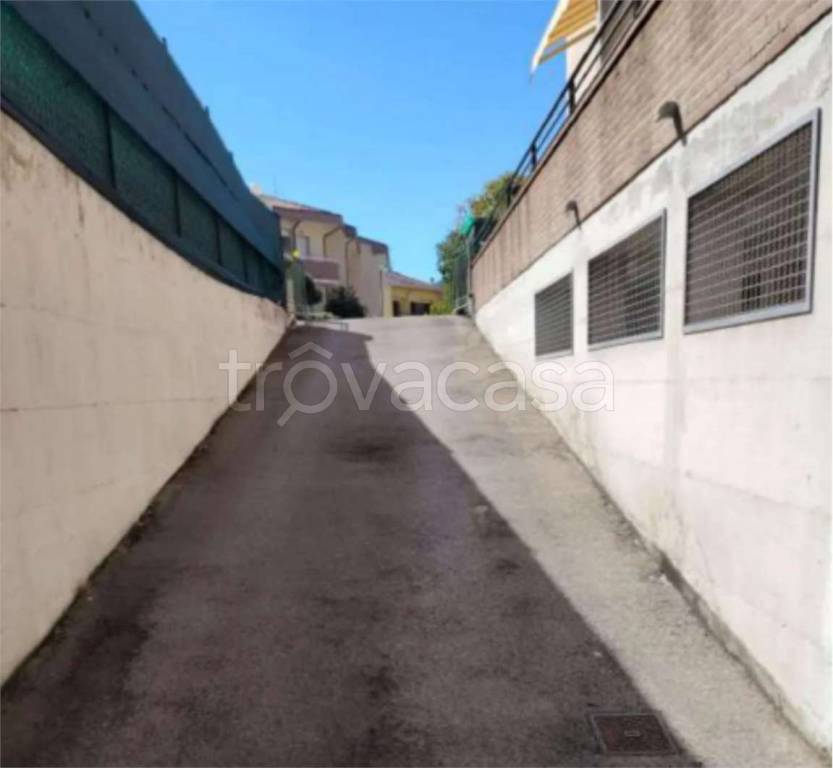 immagine annuncio 5 di 14