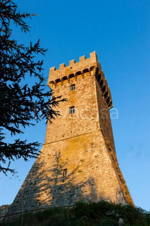 immagine annuncio 6 di 14