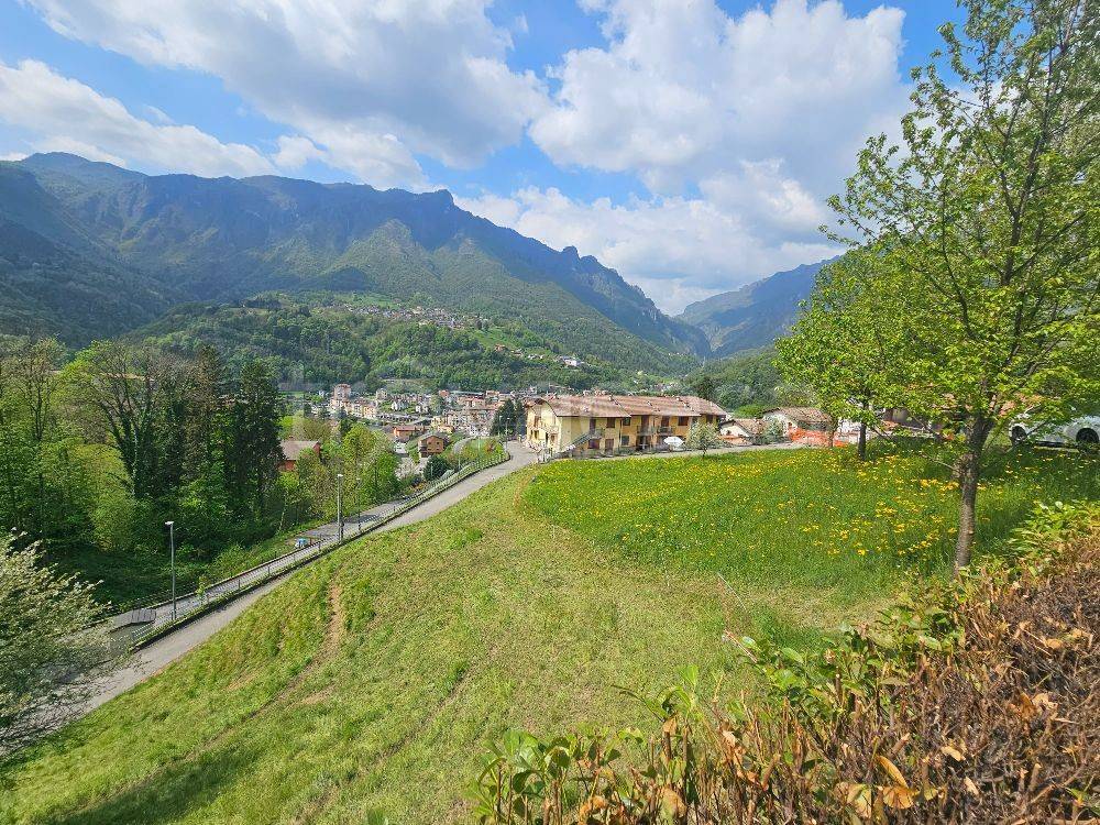 immagine annuncio 3 di 12