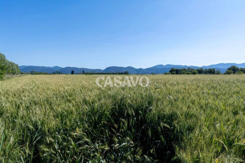 immagine annuncio 2 di 3