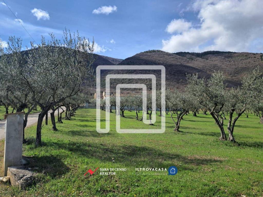 immagine annuncio 2 di 6