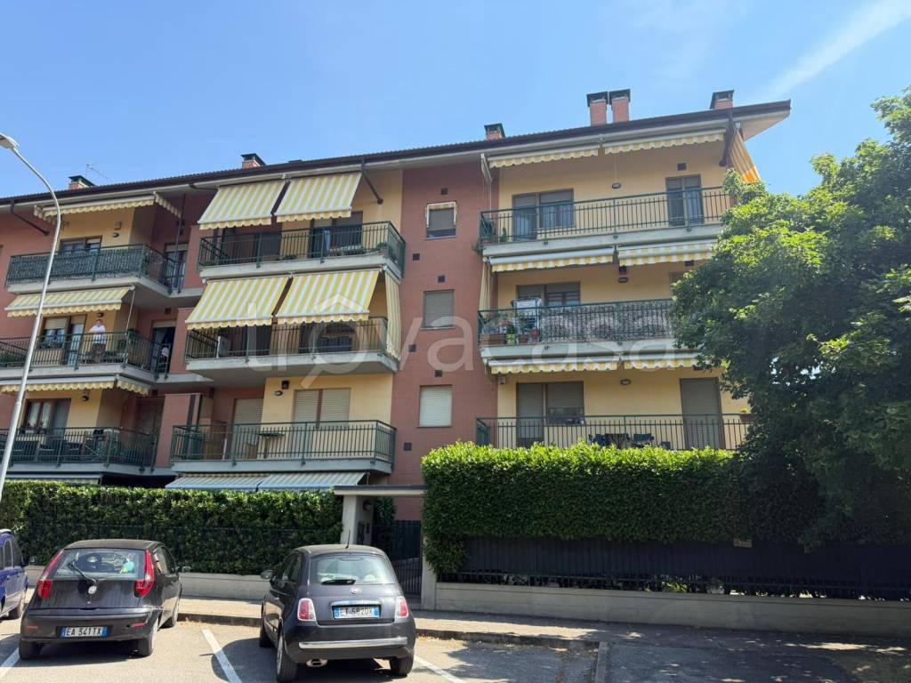 immagine annuncio 1 di 15