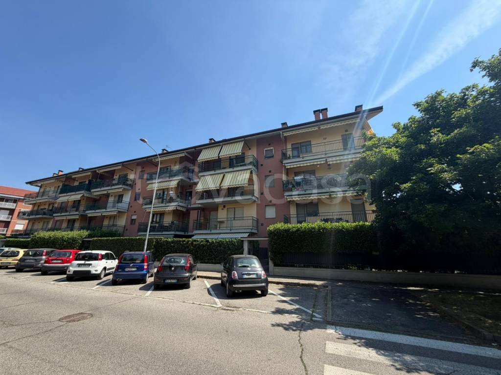 immagine annuncio 1 di 15