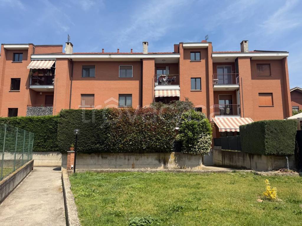 immagine annuncio 1 di 15