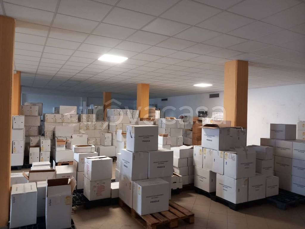 immagine annuncio 6 di 14