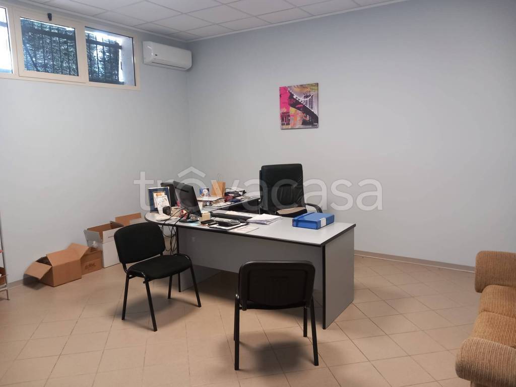 immagine annuncio 11 di 14