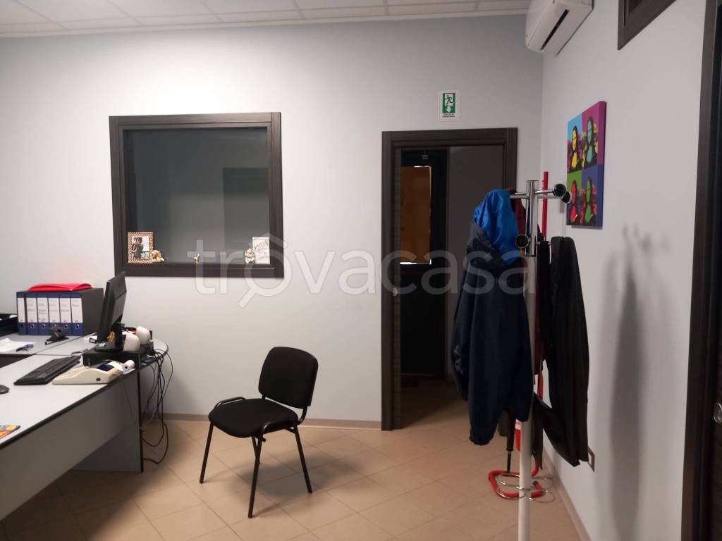 immagine annuncio 12 di 14