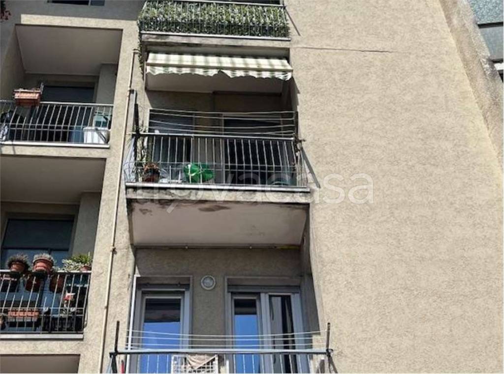 immagine annuncio 3 di 8