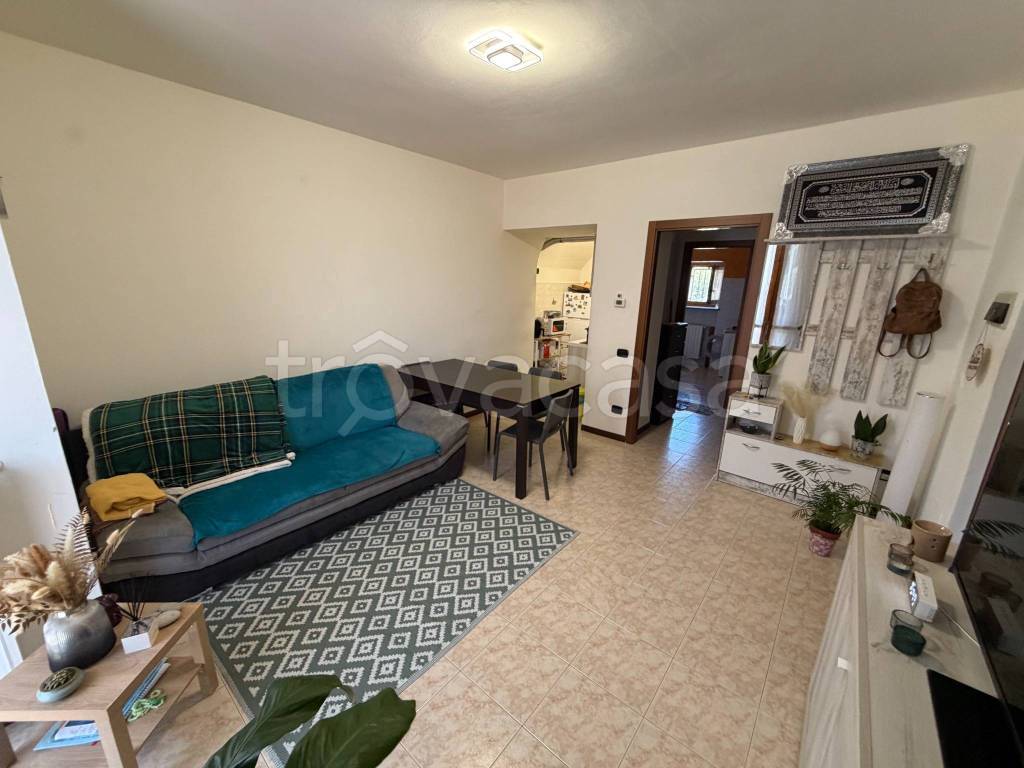 immagine annuncio 9 di 14