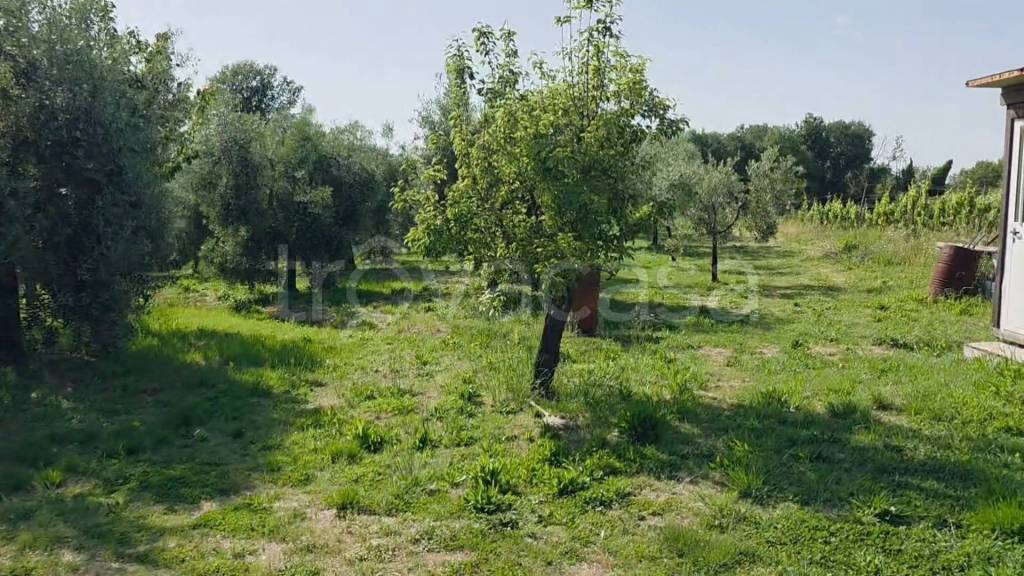 immagine annuncio 3 di 13