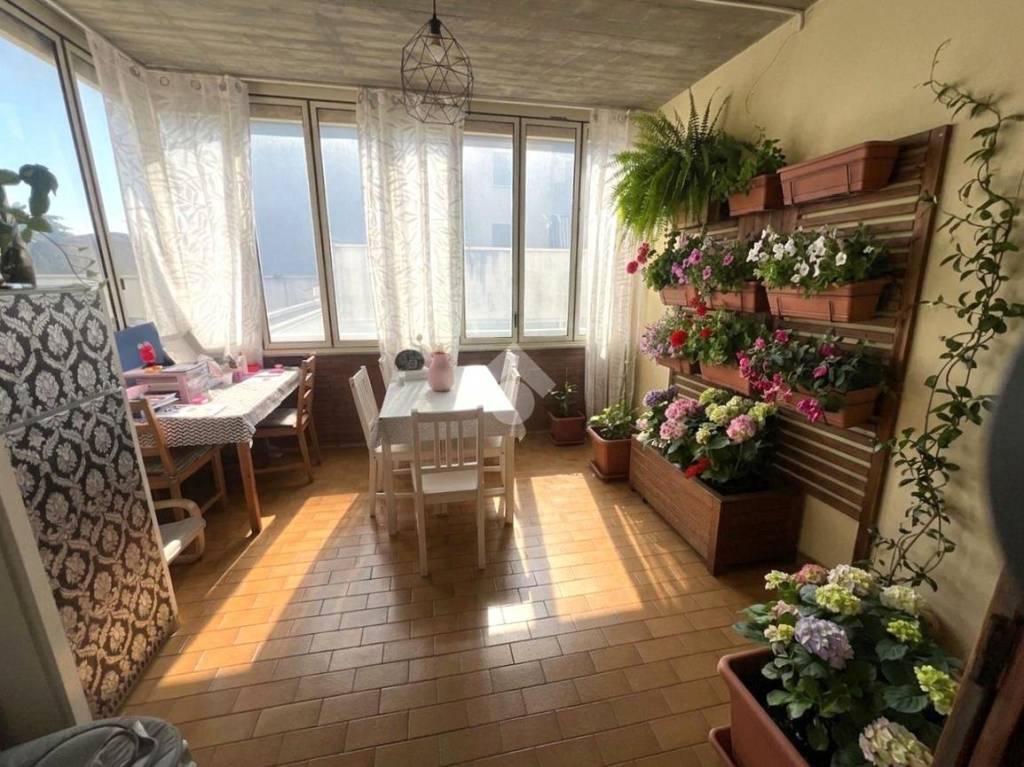immagine annuncio 4 di 14