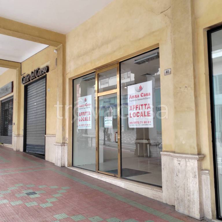 immagine annuncio 3 di 12