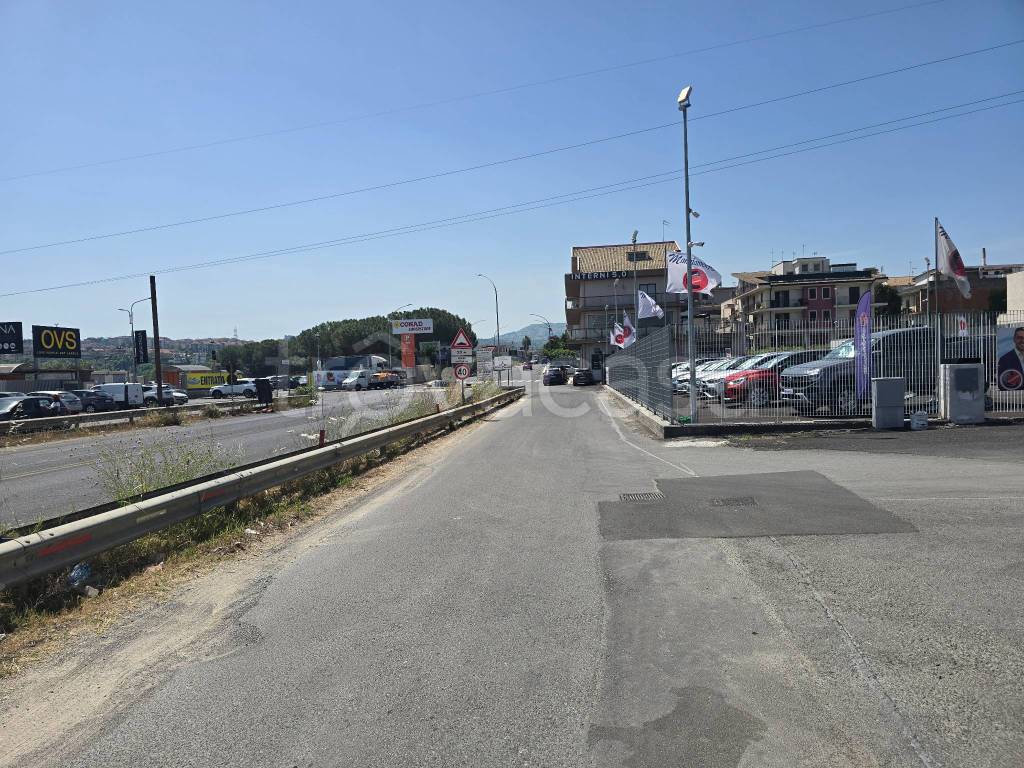 immagine annuncio 3 di 6