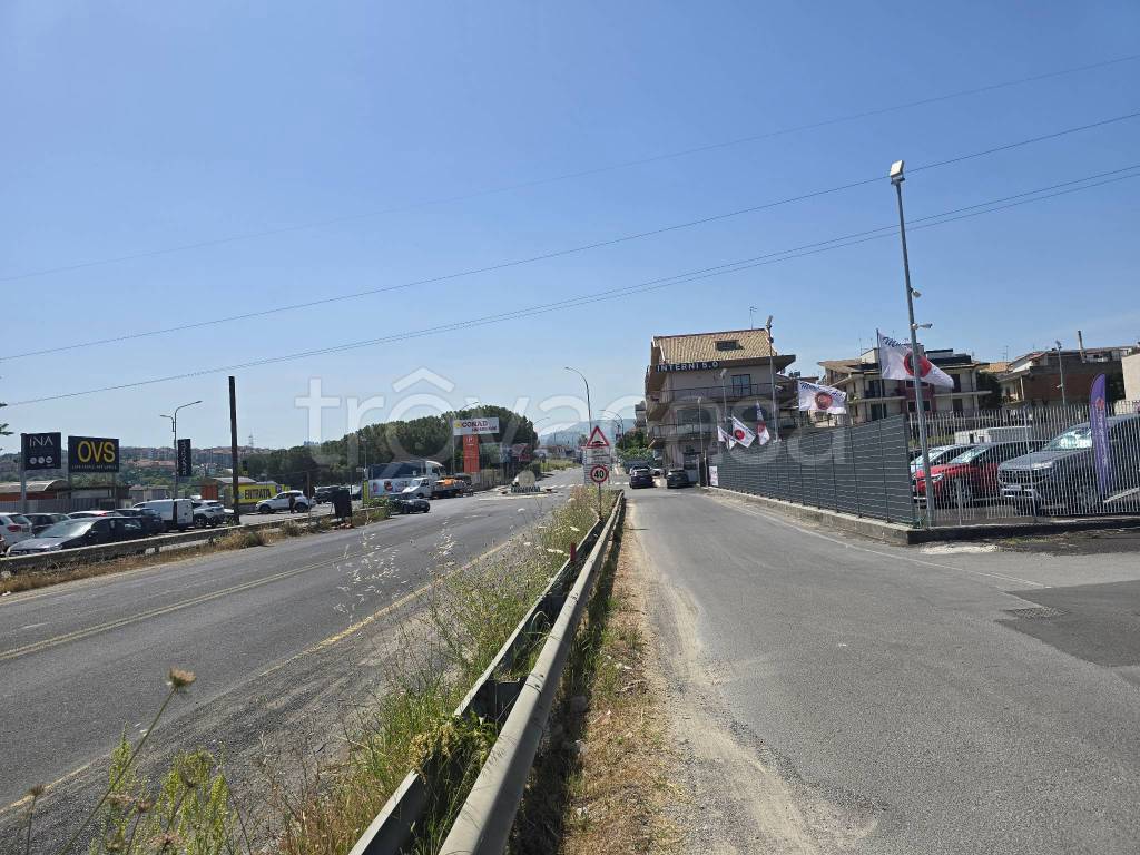 immagine annuncio 4 di 6