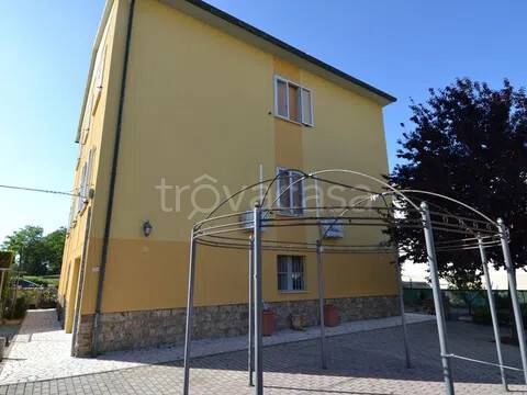 immagine annuncio 13 di 14