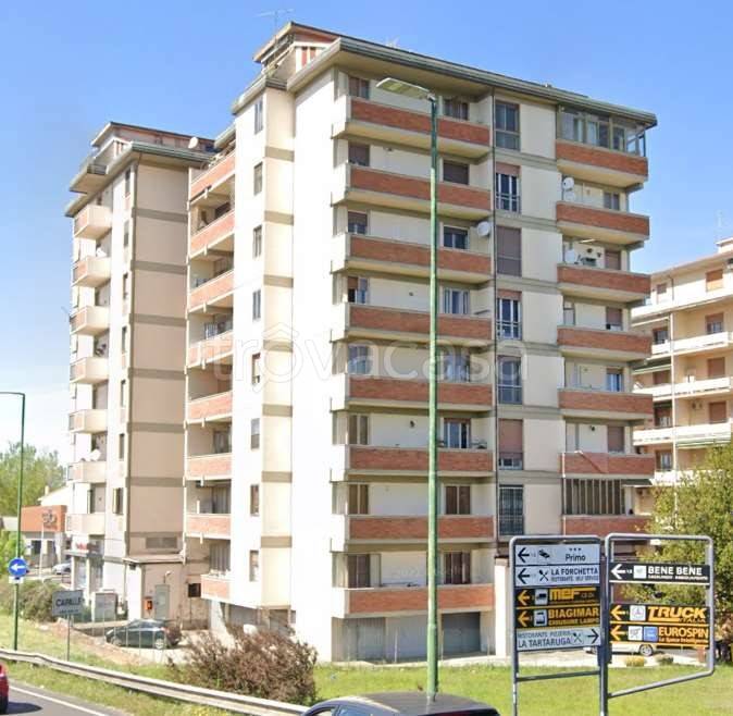 immagine annuncio 12 di 15