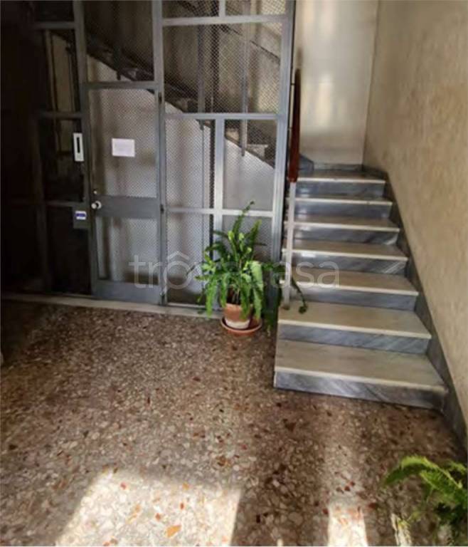 immagine annuncio 6 di 14