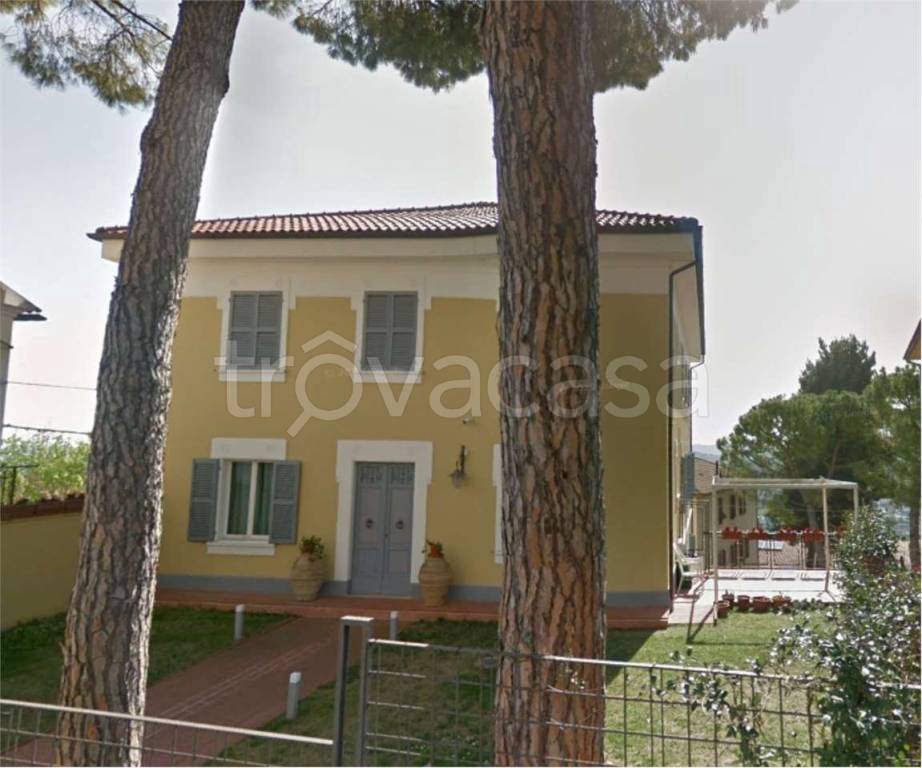 immagine annuncio 3 di 11