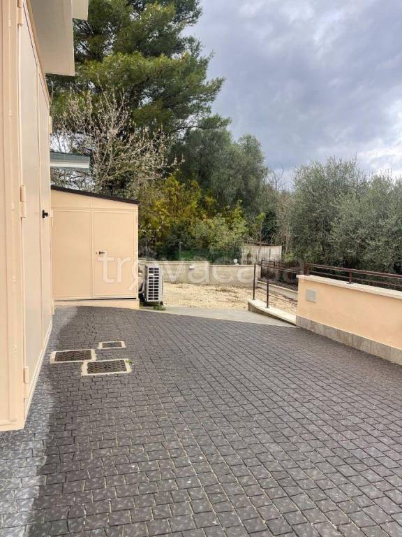 immagine annuncio 4 di 12