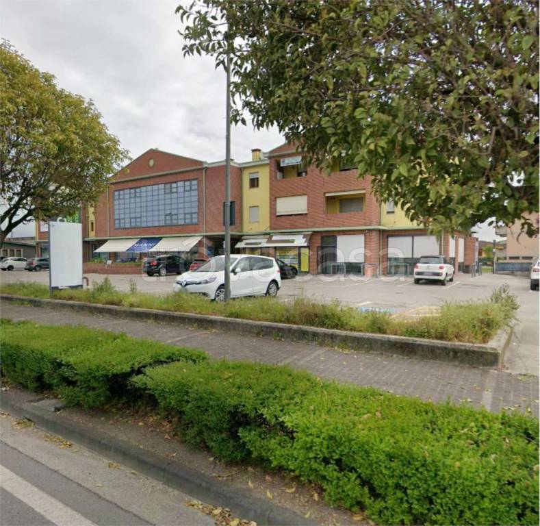 immagine annuncio 3 di 12
